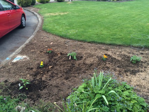 Obviously not a planter box; our neighbor allowed us to put some tomato plants in her property because she's awesome.
